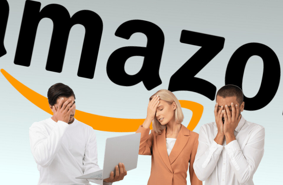 Amazon VP quits after ‘chickenshit’ management fires employee activists