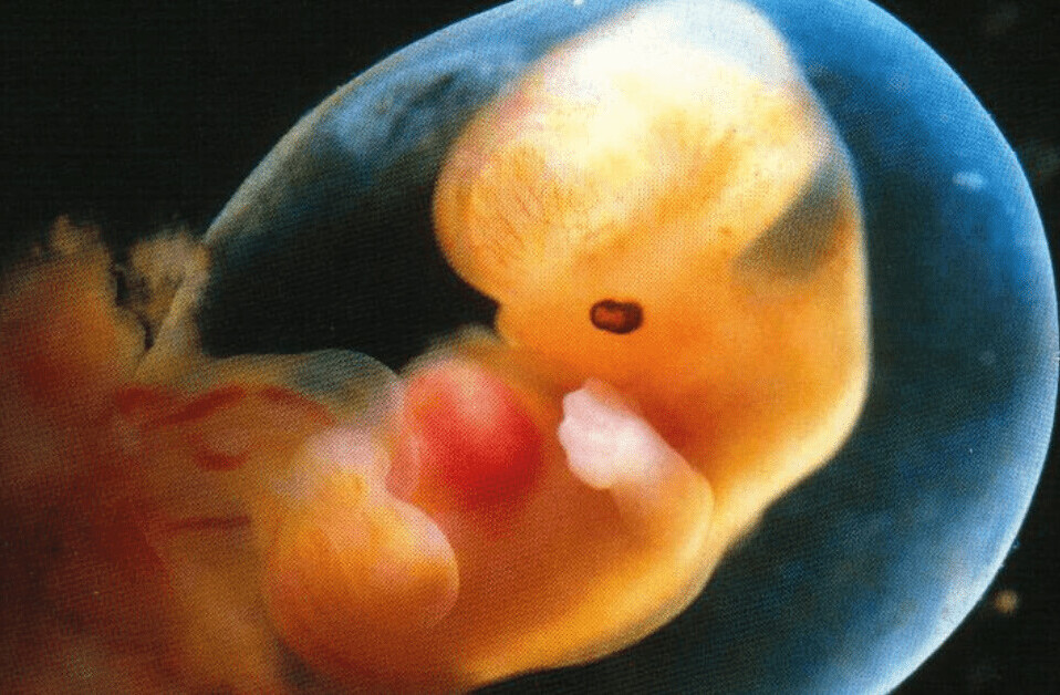 China’s failed ‘baby gene’ experiment proves we’re not ready to edit human embryos