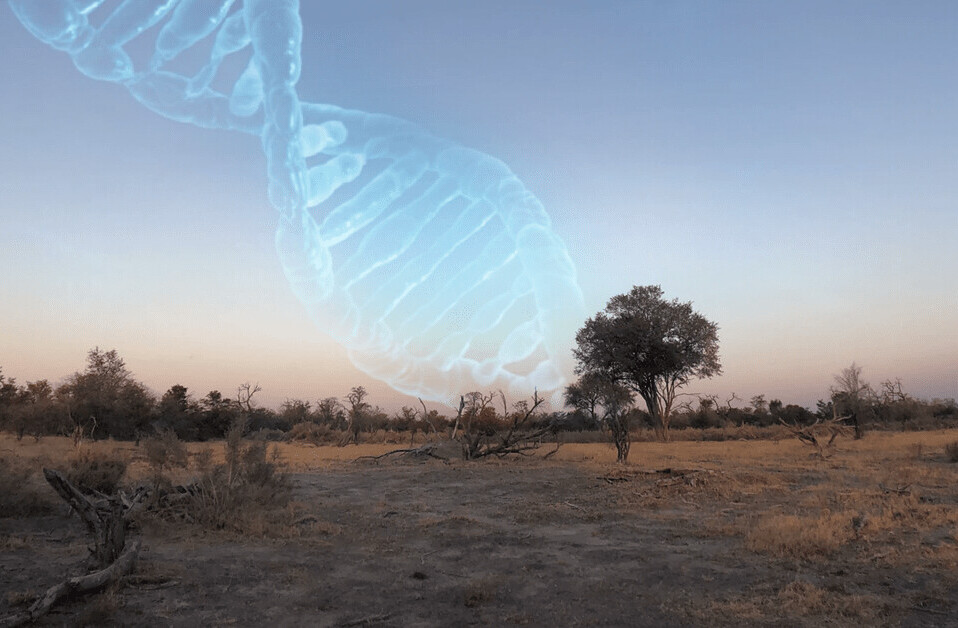 Research: DNA pinpoints region in northern Botswana as humanity’s birthplace