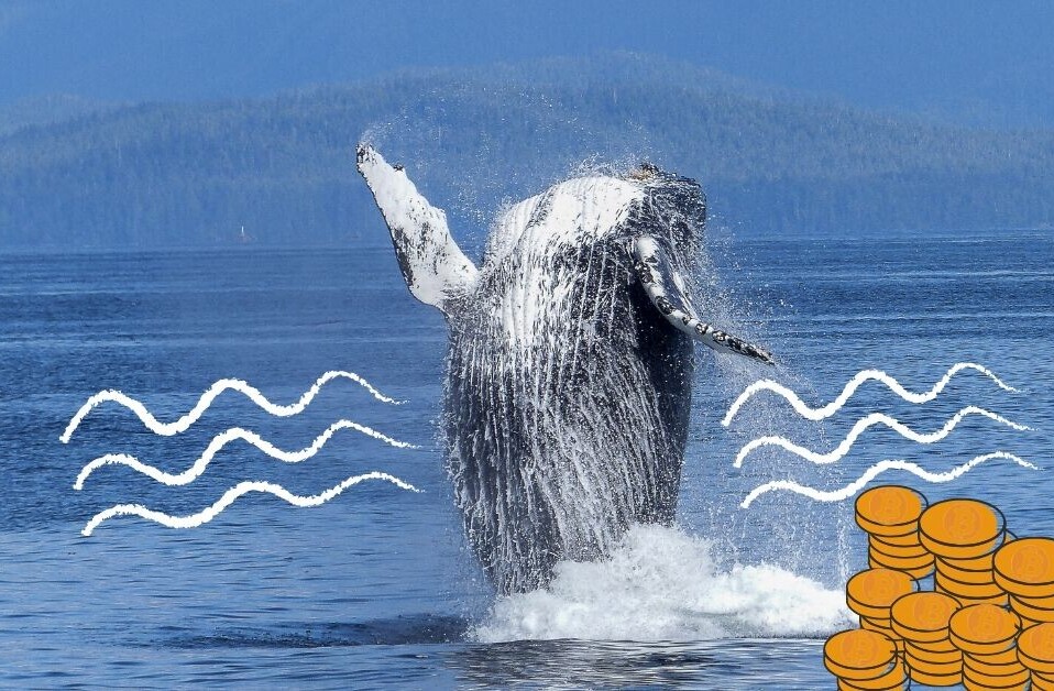 Bitcoin whale moves ball busting $1.1B for just $83