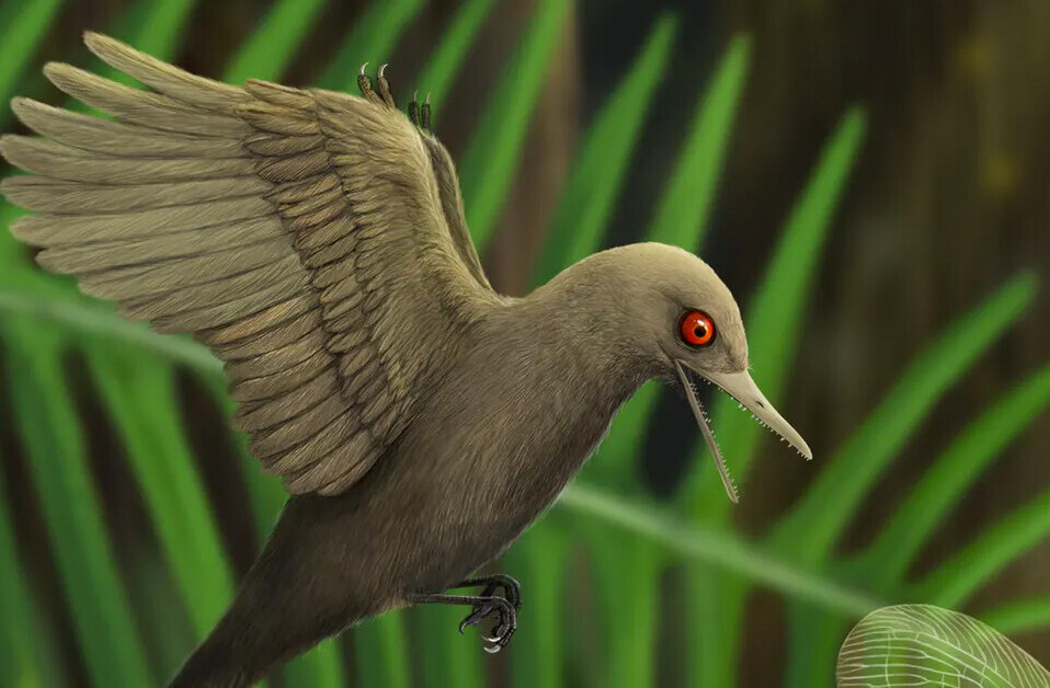 World’s smallest dinosaur discovered in a 99-million-year-old piece of amber