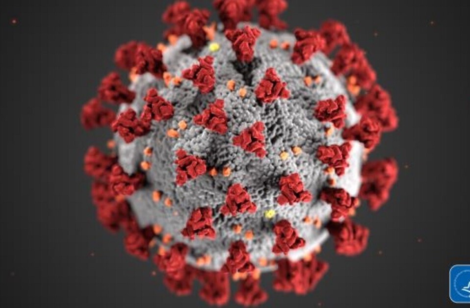 This puzzle game lets you help create a coronavirus vaccine