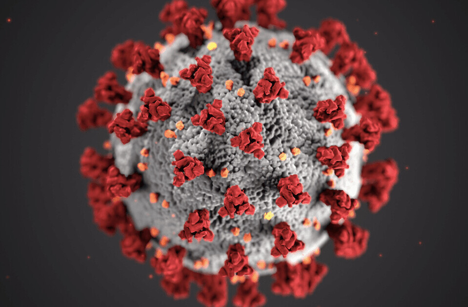 Scientists find 78% of people don’t show symptoms of coronavirus — here’s what that could mean