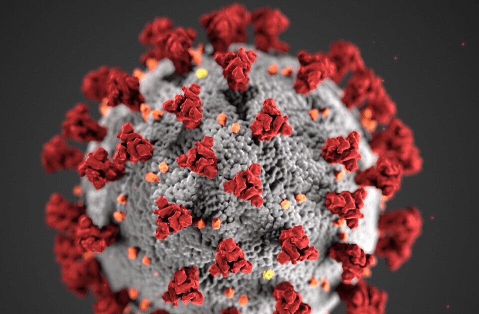 Using ‘personalized AI’ to end coronavirus lockdown is a stupid, cruel idea
