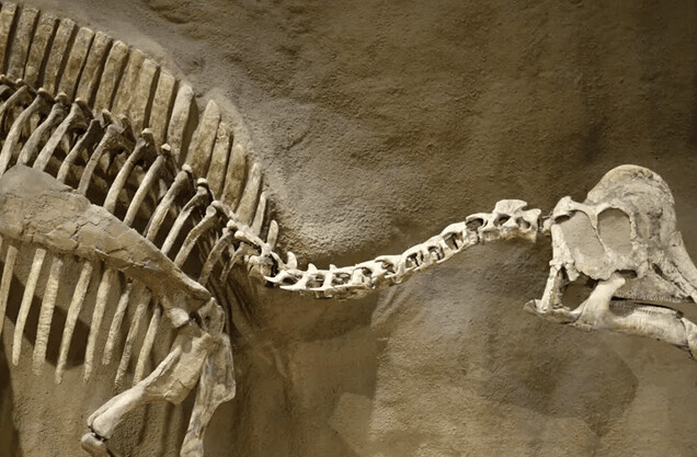 We might’ve finally found dinosaur DNA, but some scientists don’t think it’s the real deal