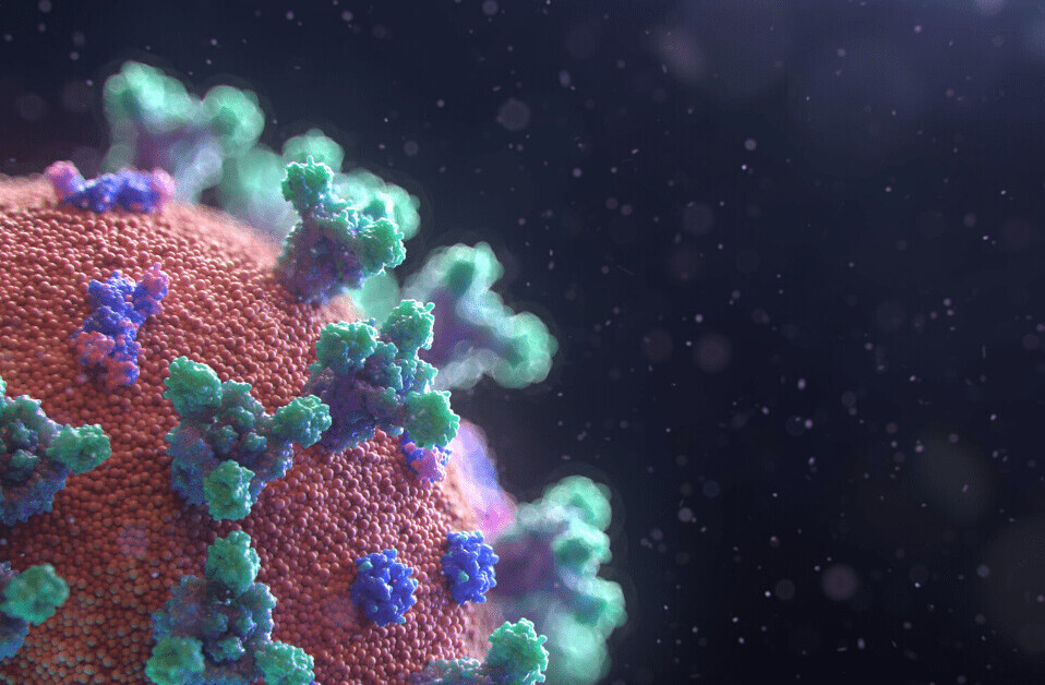 Will flu or cold viruses push the new coronavirus out of circulation this winter?