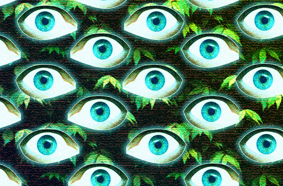 How AI could steal your data by ‘lip-reading’ your keystrokes