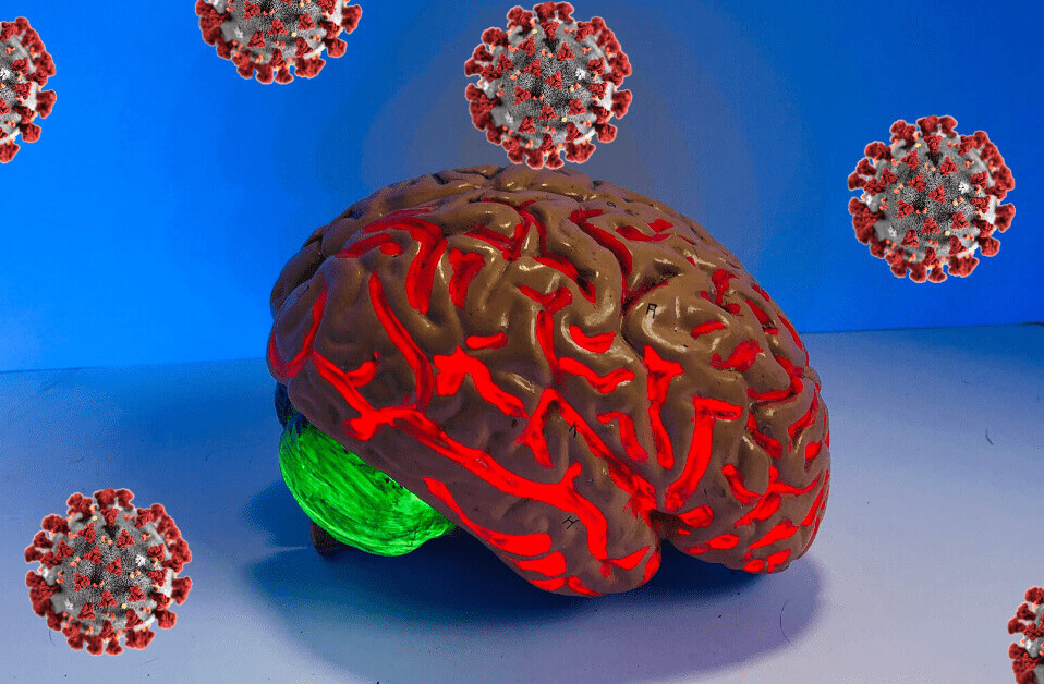 A neurologist explains how coronavirus impacts the brain
