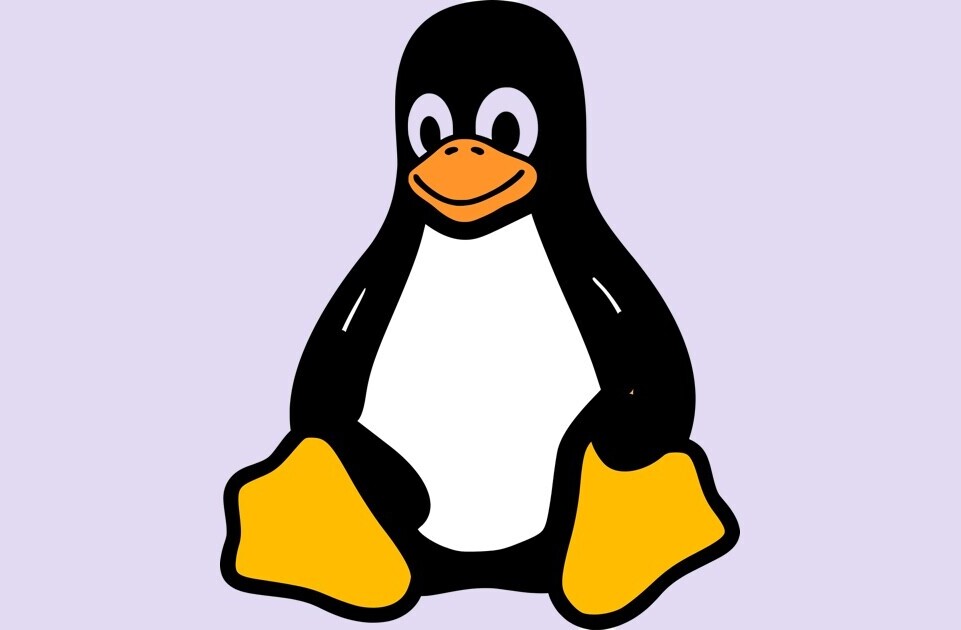 Linux kernel will no longer use terms ‘blacklist’ and ‘slave’