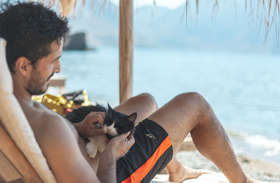 Scientists confirm holding a cat in your dating app profile won’t get you a date