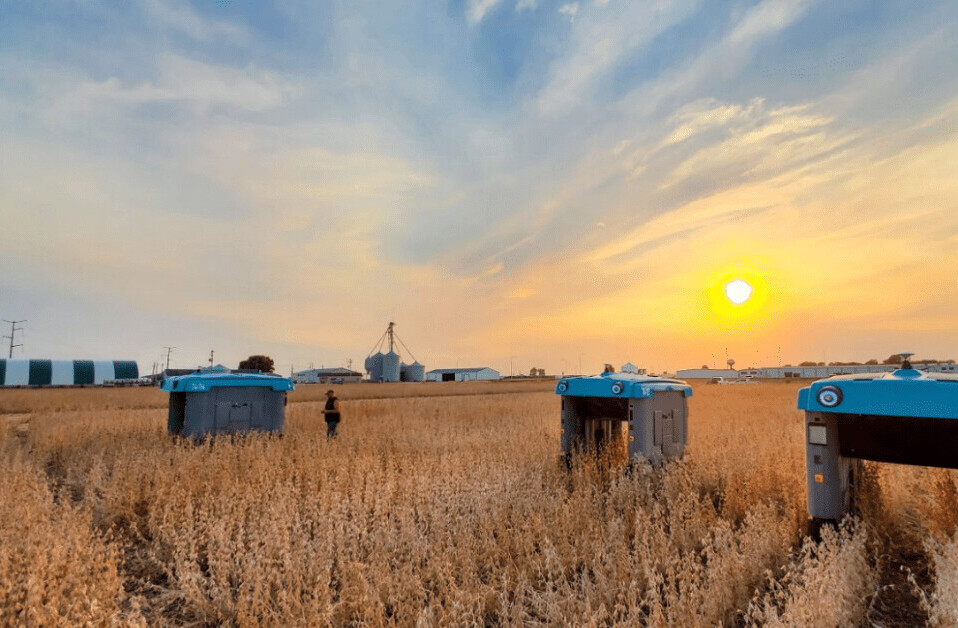 Alphabet X has built a ‘plant buggy’ — a cute AI farmer