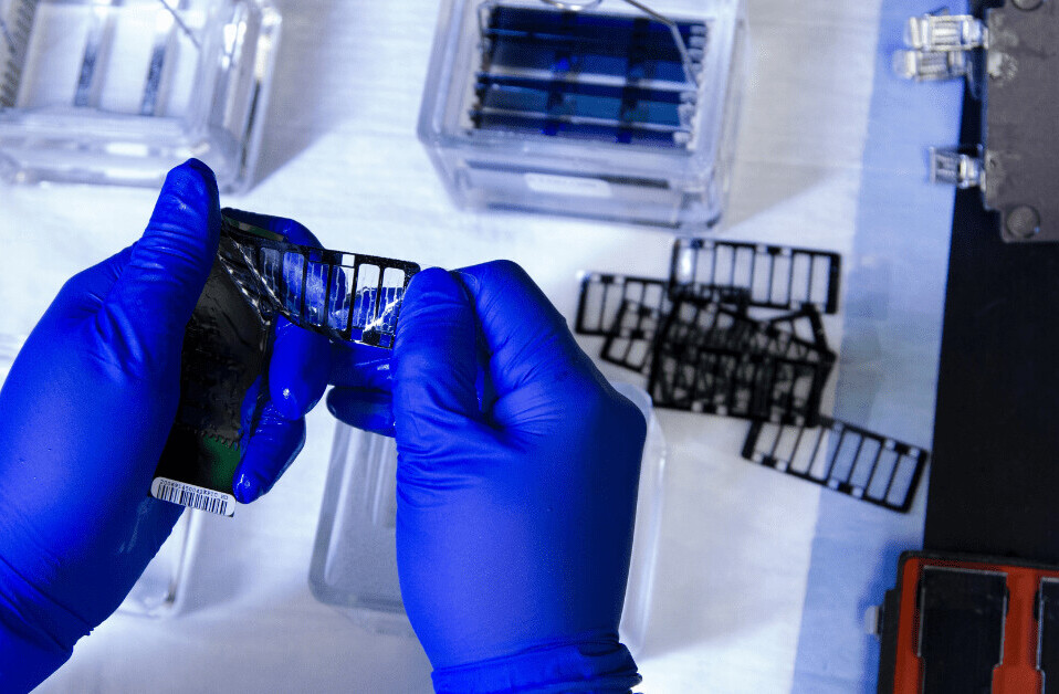 Engineer explains how Nobel Prize-winning CRISPR technique works