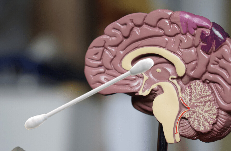 No, you can’t puncture your brain with a COVID-19 swab test