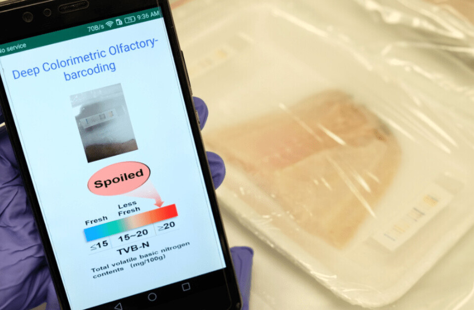 This AI-powered ‘electronic nose’ can sniff out rotten meat