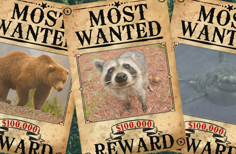 We should hold animals accountable for their crimes. Here’s how AI can help