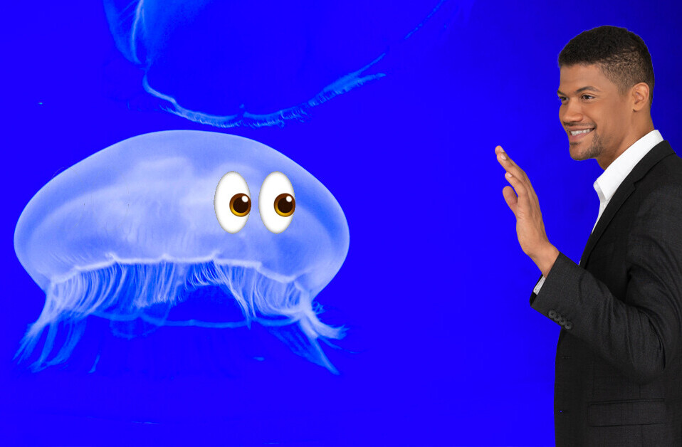 You are more closely related to comb jellies than sponges, new study claims