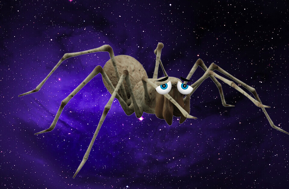 Spiders in space are so unhappy they can’t even build decent webs