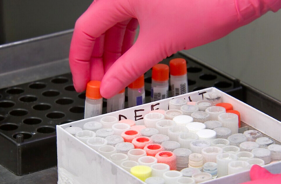 The risks of Pfizer’s COVID-19 vaccine for patients with a history of severe allergies