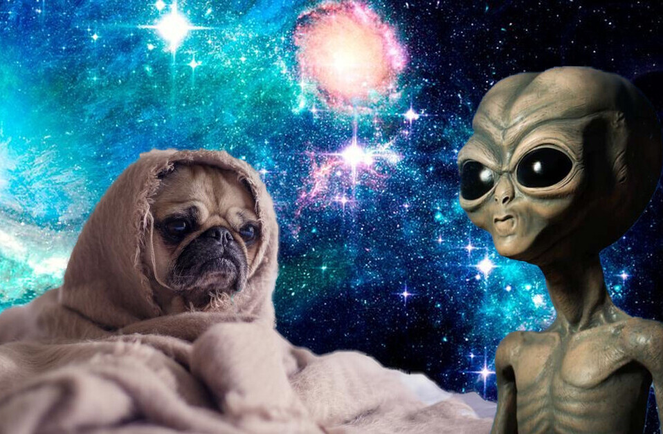 Here’s 3 sad science news stories to ruin your day (because it’s still 2020)