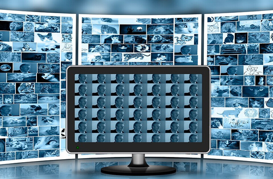 A closer look at the AI Incident Database of machine learning failures