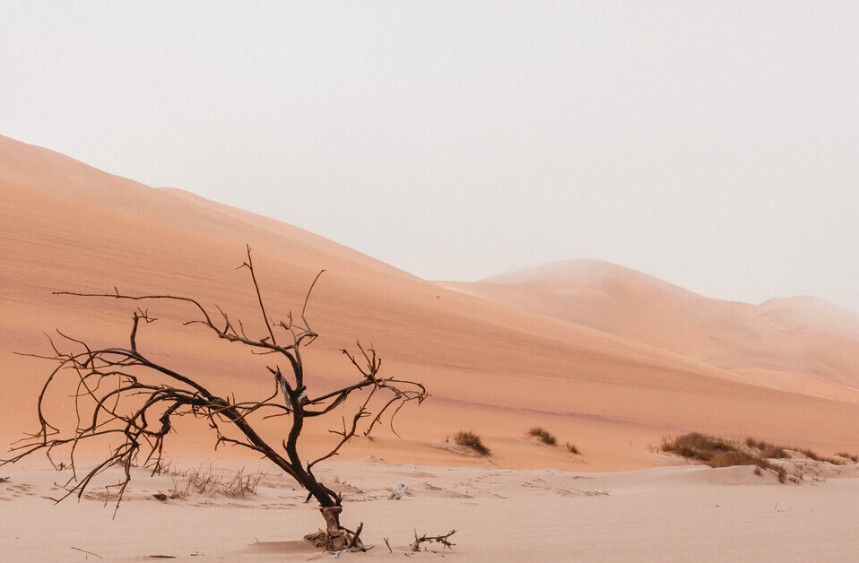 5 unusual technologies that can prevent a global water crisis