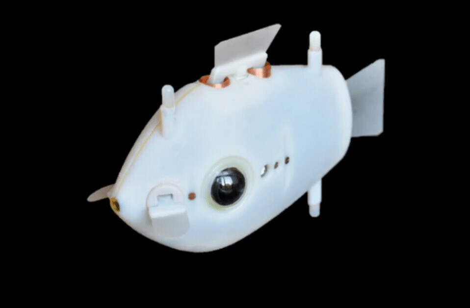 Swarms of robot fish could soon monitor our oceans for environmental hazards