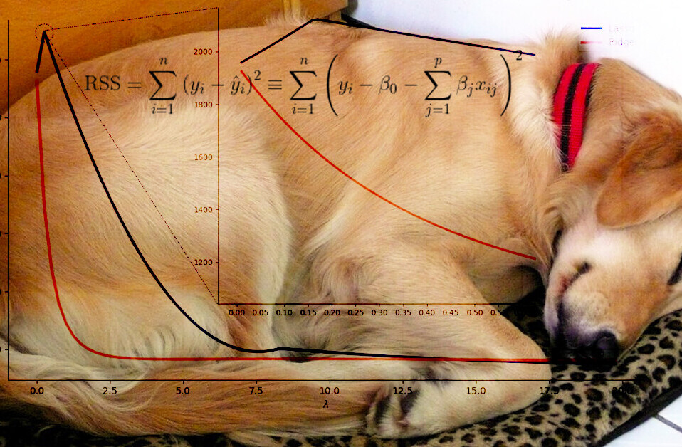 How to turn your dog’s nap time into a regularized linear model