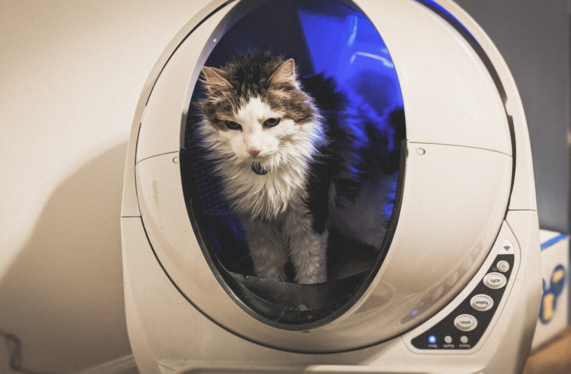 Review: The Litter-Robot is worth the $499 to never scoop cat poop again