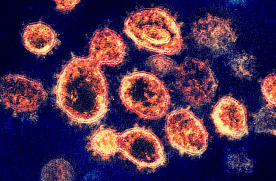 Scientists use AI to identify existing drugs to fight COVID-19