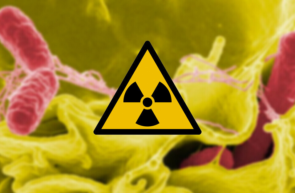 Do space microbes like radioactive waste?