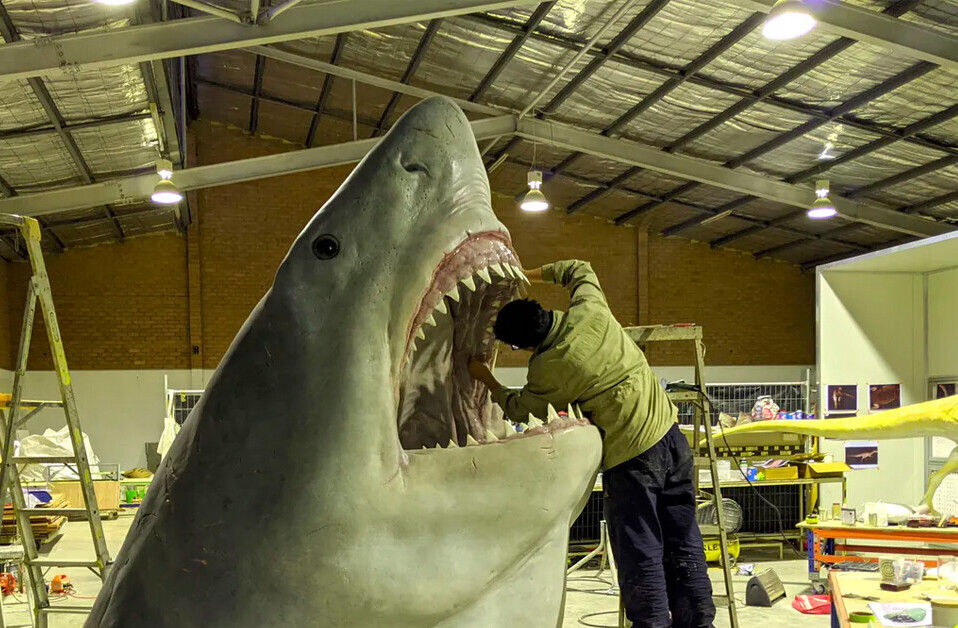 The science behind measuring the biggest shark to ever exist