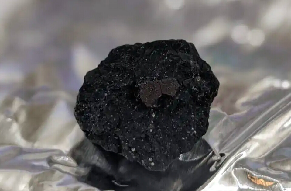 This rare meteorite found on a driveway might hold the answer to our solar system’s origin