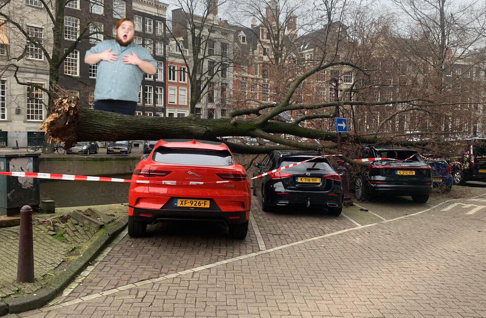 Amsterdam tree versus Jaguar i-Pace: Jag wins