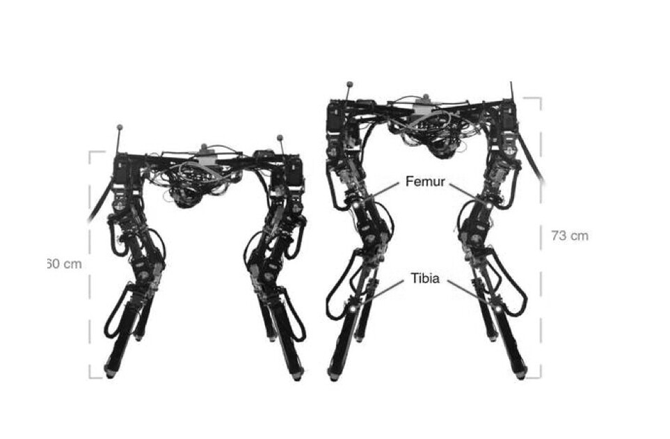 This shape-shifting robot adjusts its body to walk across all kinds of terrain