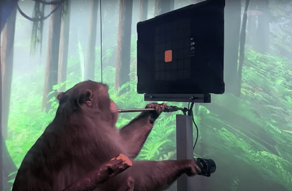 Watch a cyborg monkey play Pong with its mind, thanks to Elon Musk’s Neuralink