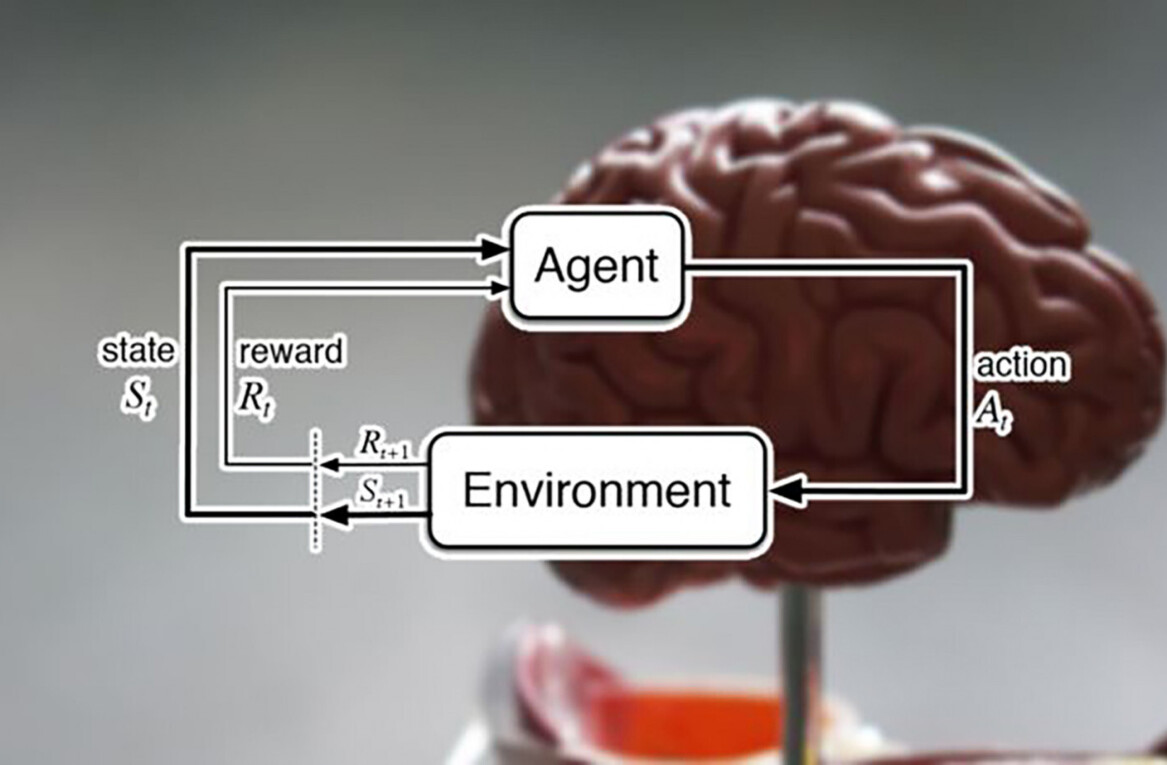 DeepMind researchers say reinforcement learning is the key to cracking general AI
