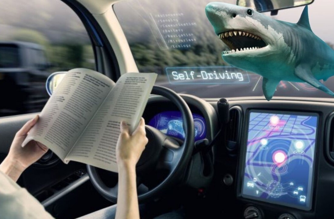 3 in 10 Americans would rather swim with sharks than ride an autonomous vehicle