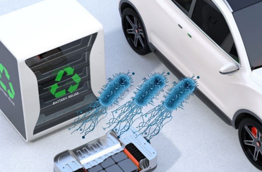 Bacteria – yes, bacteria – could be the key to recycling EV batteries