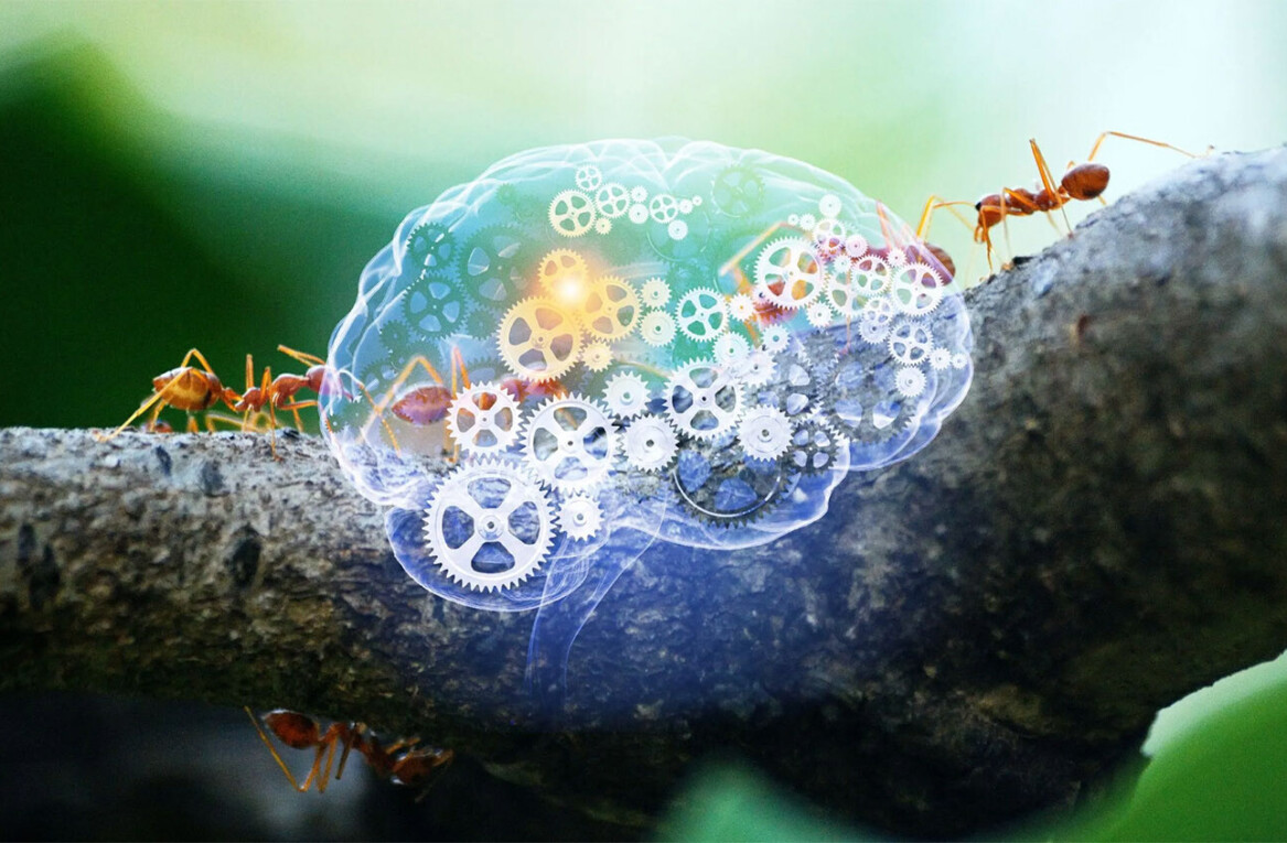 To achieve AGI, we need new perspectives on intelligence