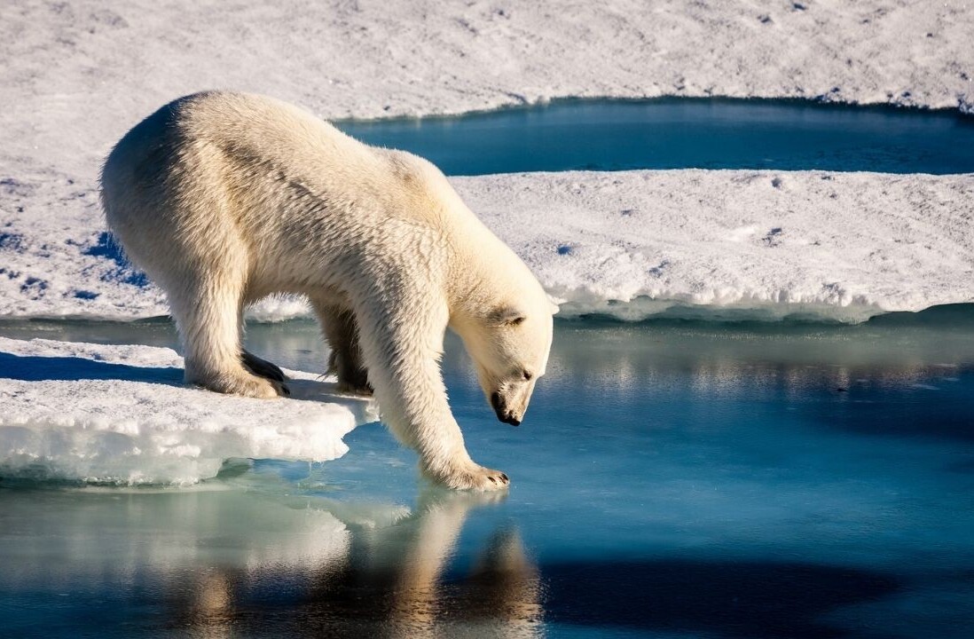 AI tool predicts Arctic sea ice loss caused by climate change
