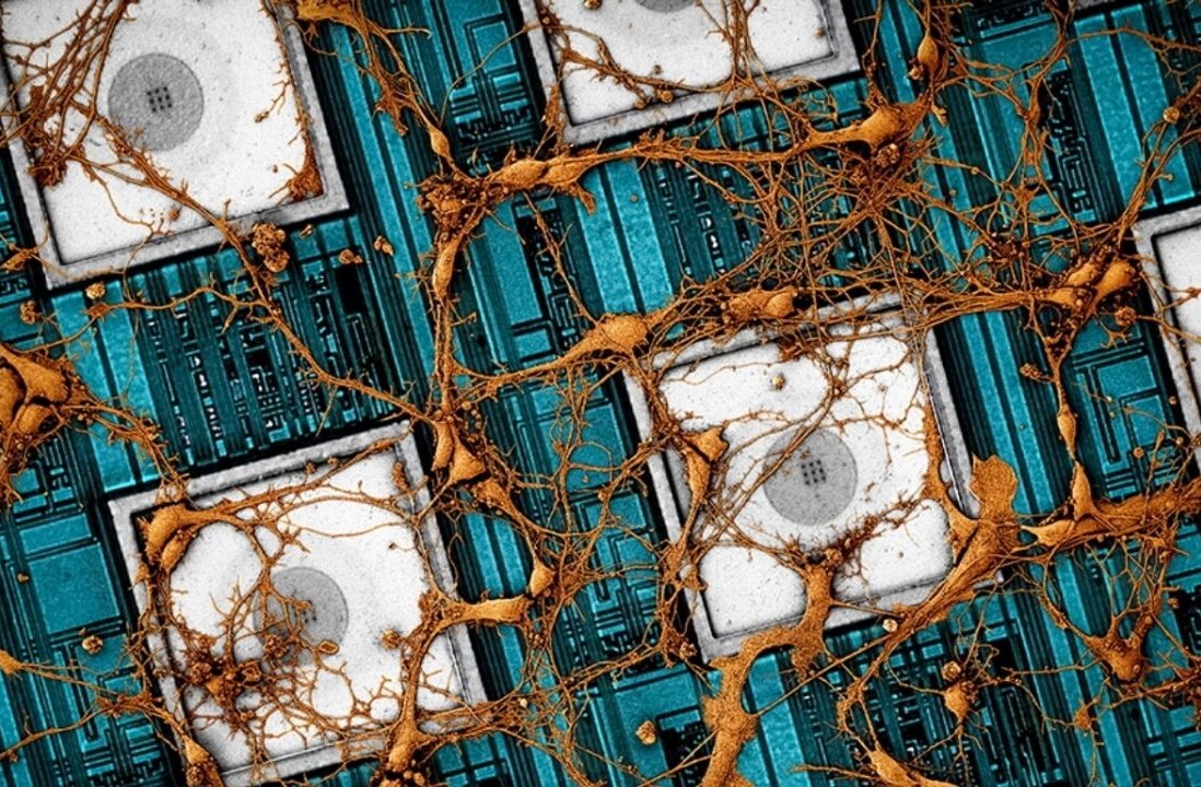 Scientists want to ‘copy and paste’ the human brain onto a computer chip