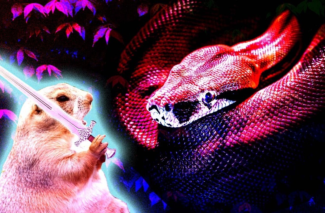 All Pythonistas should switch to Go… or okay, maybe just half