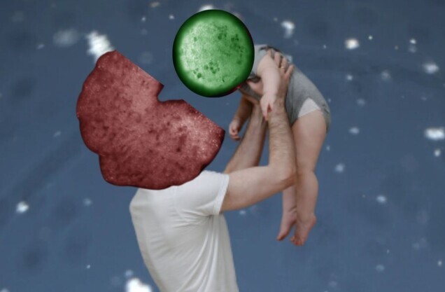 Scientists developed ‘living robots’ that reproduce
