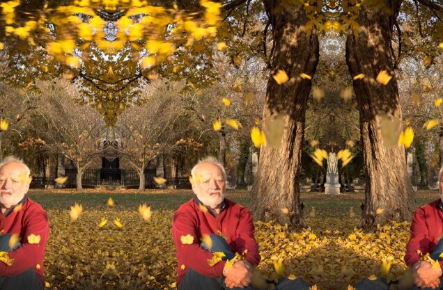 Hide the Pain Harold’s new autumn ‘stock photos’ perfectly capture your dark day blues