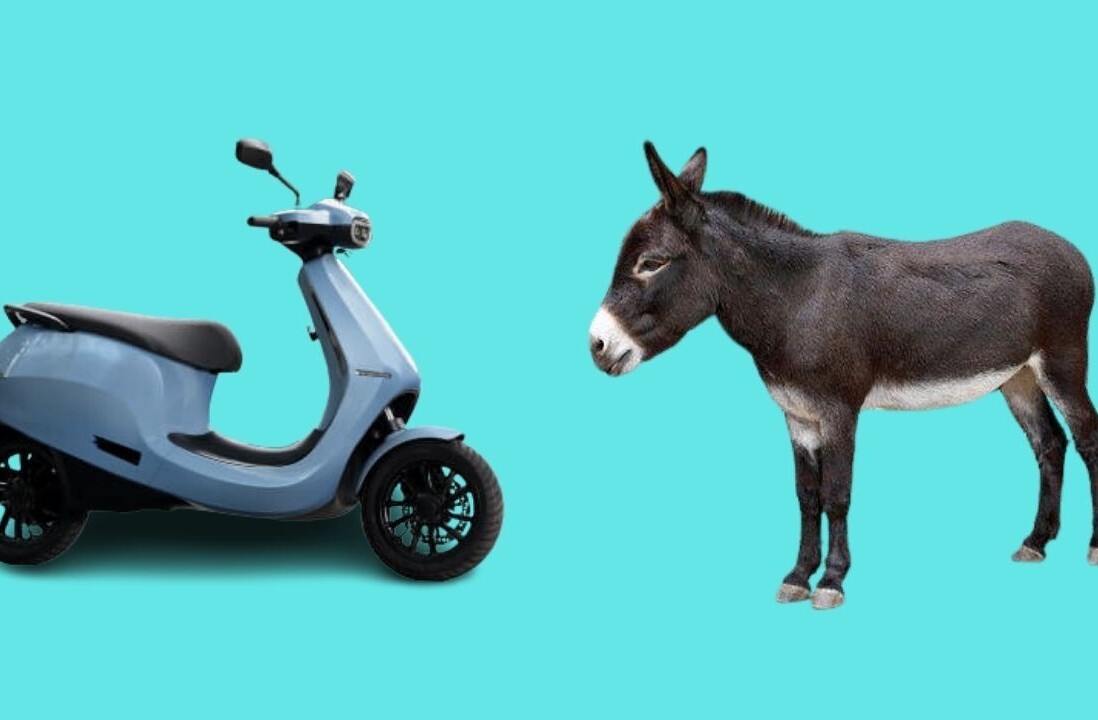 Pray for the man who paraded an Ola scooter through town with a donkey