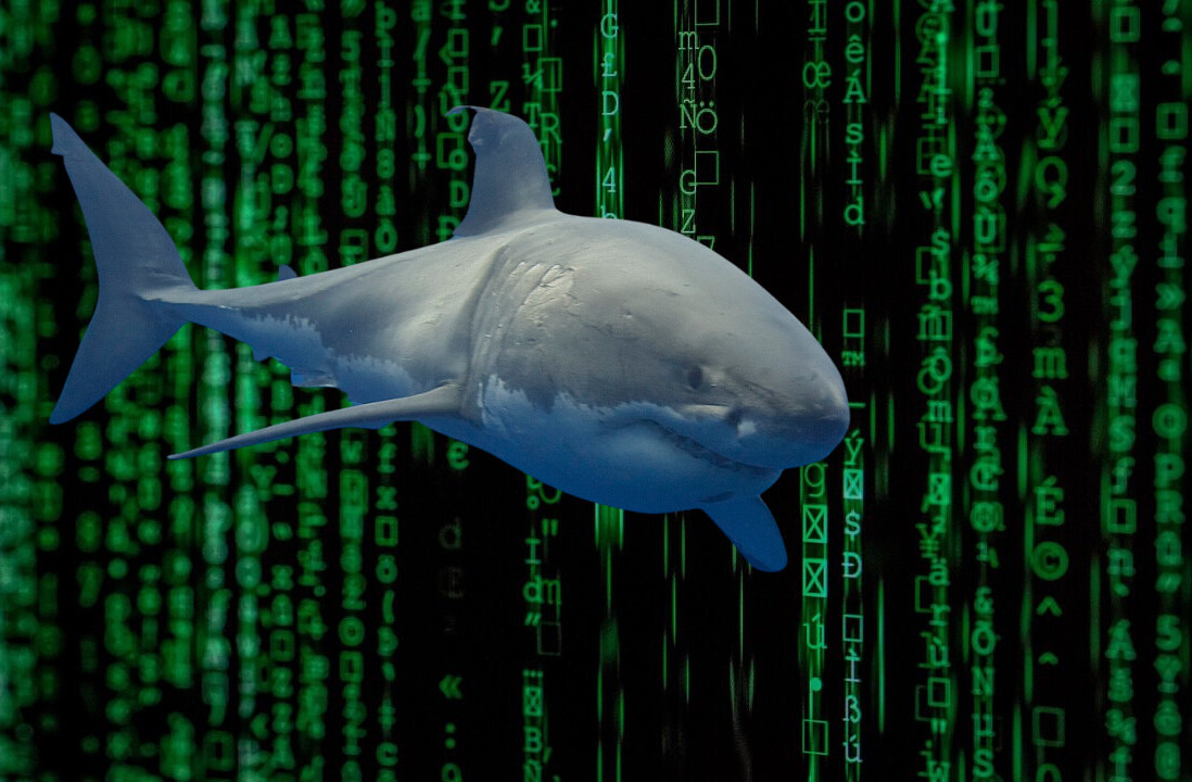 How tech can help prevent shark bites and keep beaches open this summer