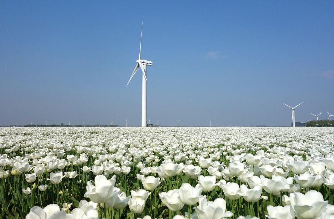 The Netherlands is the ideal breeding ground for green tech startups