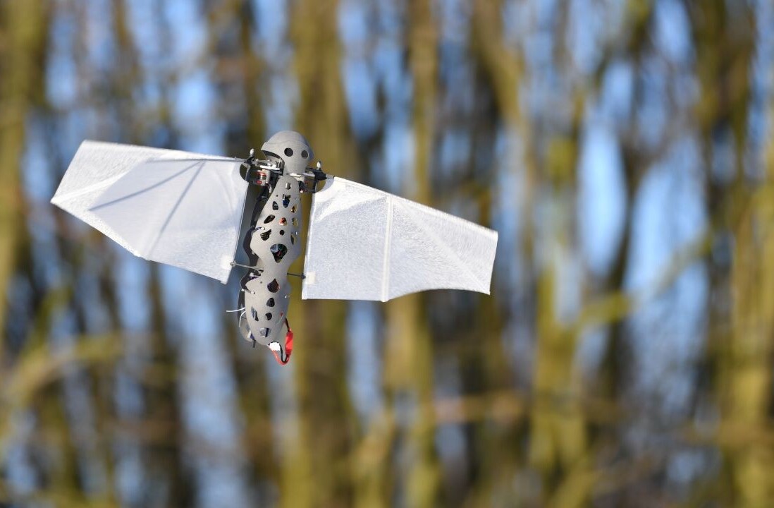 Are bioinspired drones the next big thing in unmanned flight?