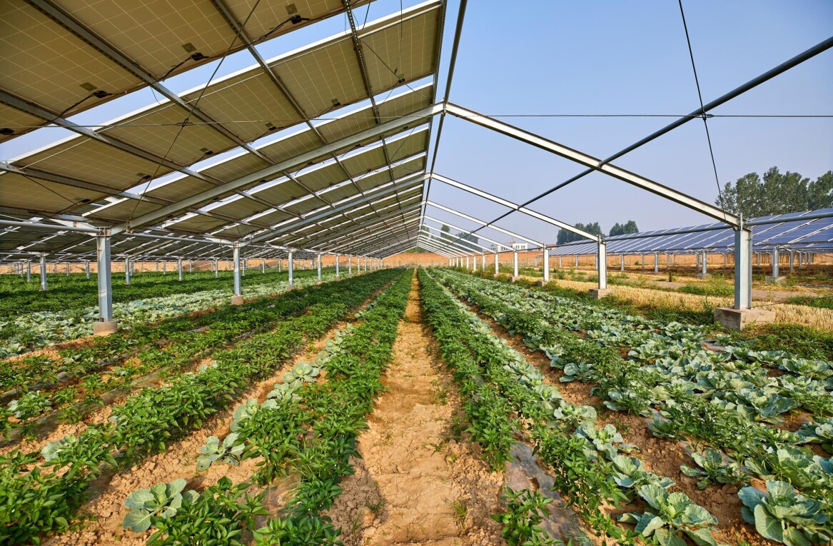 EU backs new project that combines solar power with agriculture