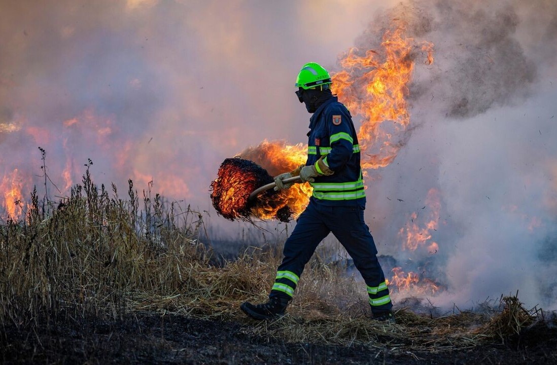 This wildfire simulator can predict risks to individual homes anywhere on Earth